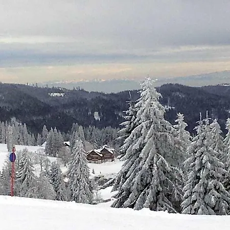 Pop-up Stuub 3* Feldberg